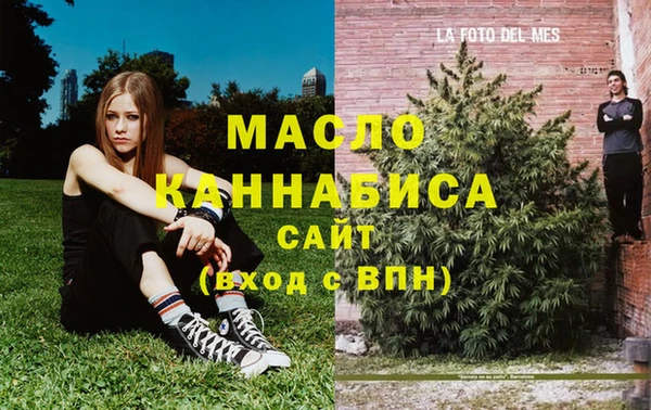 дмт Алексин