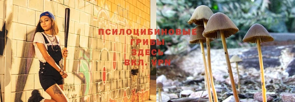 прущий лед Алексеевка
