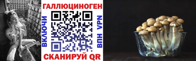Галлюциногенные грибы Psilocybine cubensis  Апрелевка 